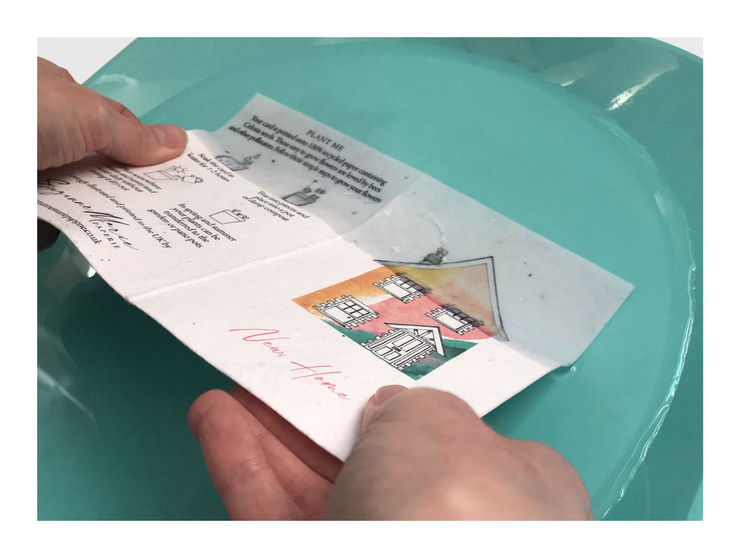 Image shows a Bloom Card plantable Wildflower seed card being soaked in water before being planted.