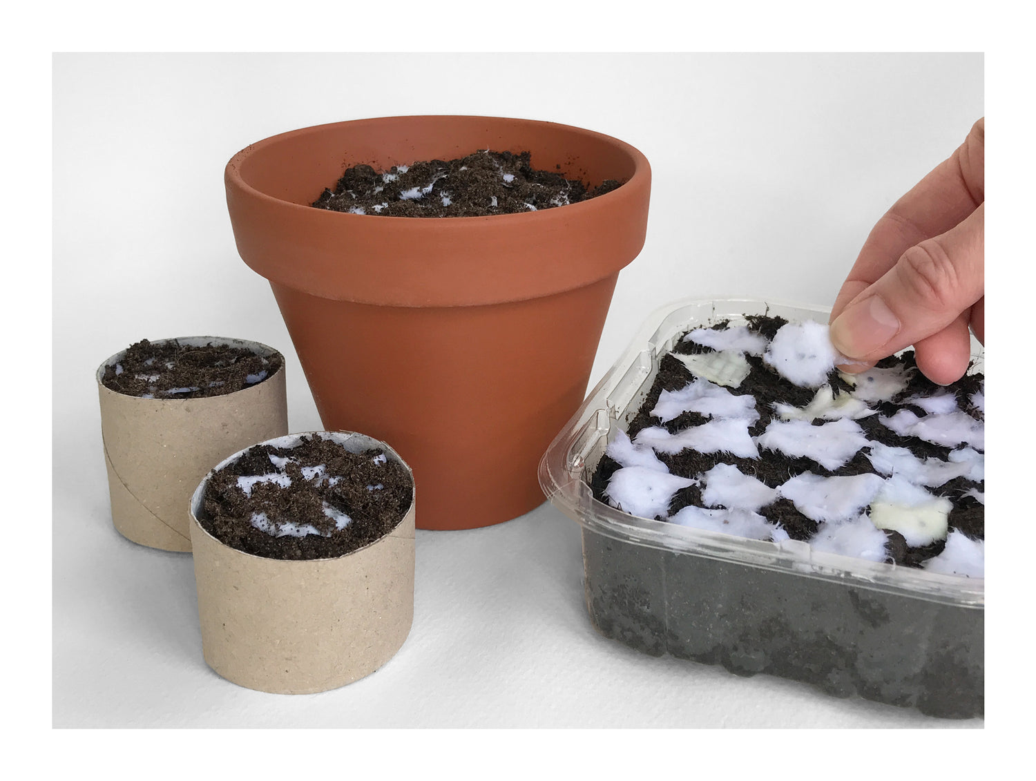 Image shows a terracotta pot and re-used plastic container and cardboard tube with Bloom Card plantable Wildflower seed paper planted in them..