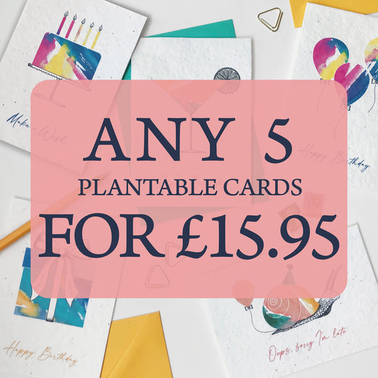 Image shows a pink label with the text 'Any 5 plantable cards for £15.95'. In the background is a photos of a range of Bloom Cards Birthday and Celebration plantable Wildflower cards by Suzanne Marie Paperie. Pick and choose any 5 single cards from our Bloom Cards range and save 25%.