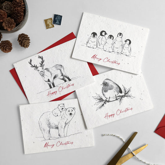 Image shows a pack of Bloom Cards plantable Winter Animals Christmas cards. Each pen illustrated card features a festive animal along with red script style text that reads 'Happy Christmas' or 'Merry Christmas'. The designs feature a reindeer, baby penguins, a polar bear with baby bear on her back and a robin on a holly branch. Printed onto recycled paper embedded with seeds, simply plant the card and grow wildflowers for the garden! Cards are blank inside and come with recycled red envelopes.