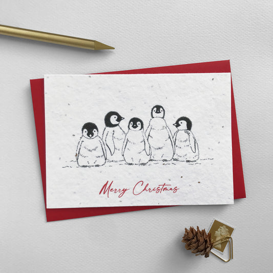 Image shows a Bloom Cards A6 plantable Winter Animals Christmas card featuring 5 pen illustrated baby penguins. The red script style text underneath reads 'Merry Christmas'. This eco-friendly, biodegradable card is made from recycled cotton embedded with bee friendly wildflower seeds, so when the festivities are over, it can be planted to grow beautiful flowers for the garden. Each card comes with a recycled red envelope.