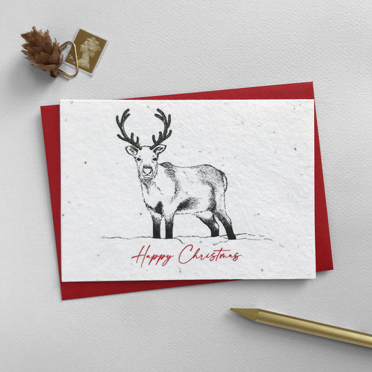 Image shows a Bloom Cards A6 plantable Winter Animals Christmas card featuring a pen illustrated reindeer. The red script style text underneath reads 'Happy Christmas'. This eco-friendly, biodegradable card is embedded with bee friendly wildflower seeds, so when the festivities are over, it can be planted to grow beautiful flowers for the garden. Each card comes with a recycled red envelope.