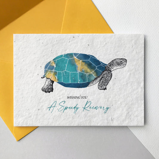 Image of a Bloom Cards plantable speedy recovery card featuring a hand illustrated tortoise design. This cheerful tortoise has a colourful turquoise, blue and yellow shell and pen drawn head, legs and tail. The turquoise text underneath reads 'Wishing You A Speedy Recovery'. This 100% recycled card is printed onto wildflower seed paper so your recipient can grow their card and enjoy some beautiful flowers. The card comes with a yellow fsc certified eucalyptus envelope. Handmade by Suzanne Marie Paperie.